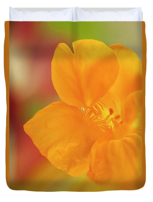 Rockville Duvet Cover featuring the photograph Close-up Of A Yellow Nasturtium Flower by Maria Mosolova