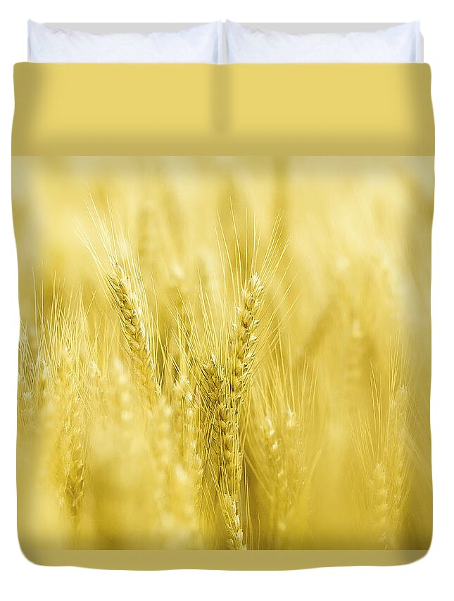 Outdoors Duvet Cover featuring the photograph Close Up Of Ears Of Wheat In A Field by Eric Larrayadieu