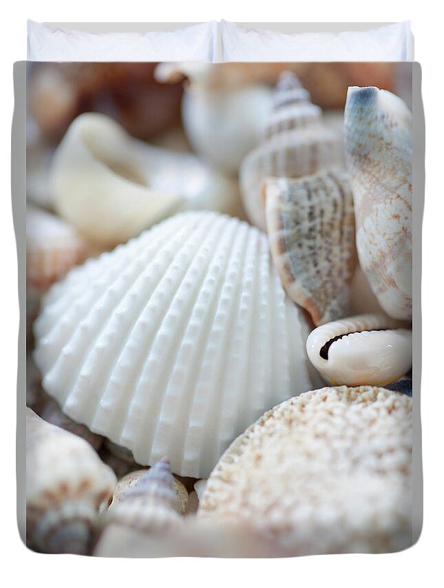 Natural Pattern Duvet Cover featuring the photograph Close Up Of Sea Shells by Nicholas Rigg
