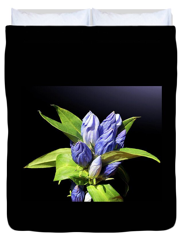 Fragility Duvet Cover featuring the photograph Closed Bottle Gentian by Gitpix