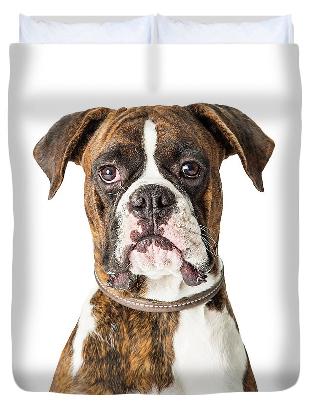 Canine Duvet Cover featuring the photograph Closeup Boxer Dog Looking Forward by Good Focused