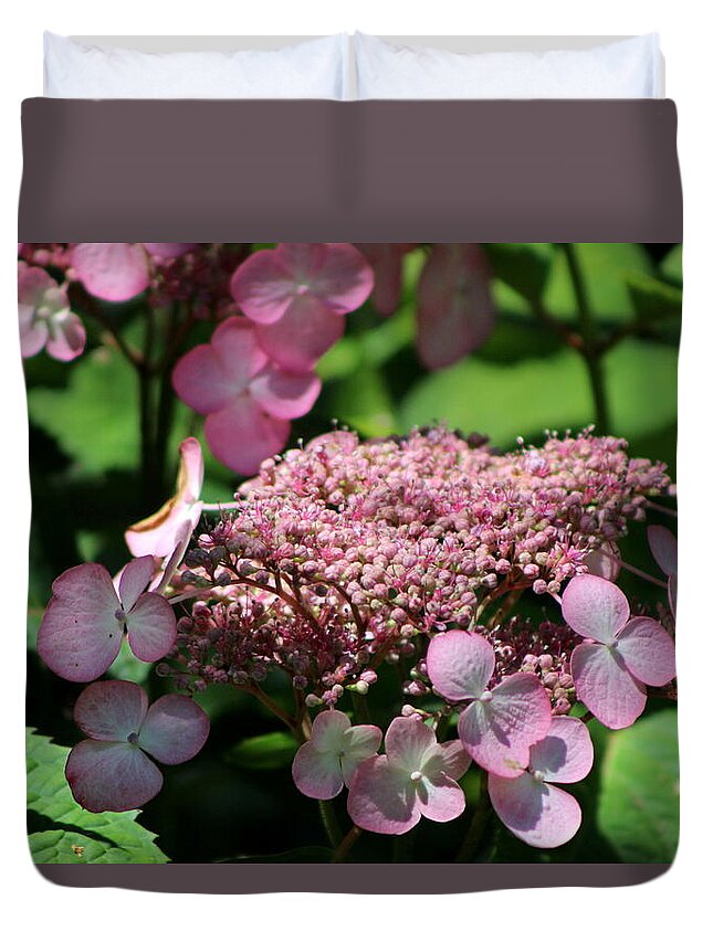 Hydrangea Duvet Cover featuring the photograph Closeup of Bouquet Pink Hydrangea by Colleen Cornelius