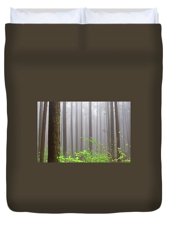 Tranquility Duvet Cover featuring the photograph Cloud Forest by Huayang