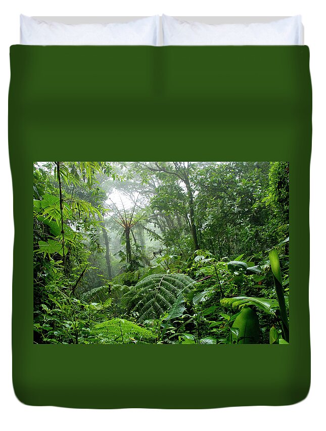 Tropical Rainforest Duvet Cover featuring the photograph Cloud Forest In Costa Rica by Pacoromero
