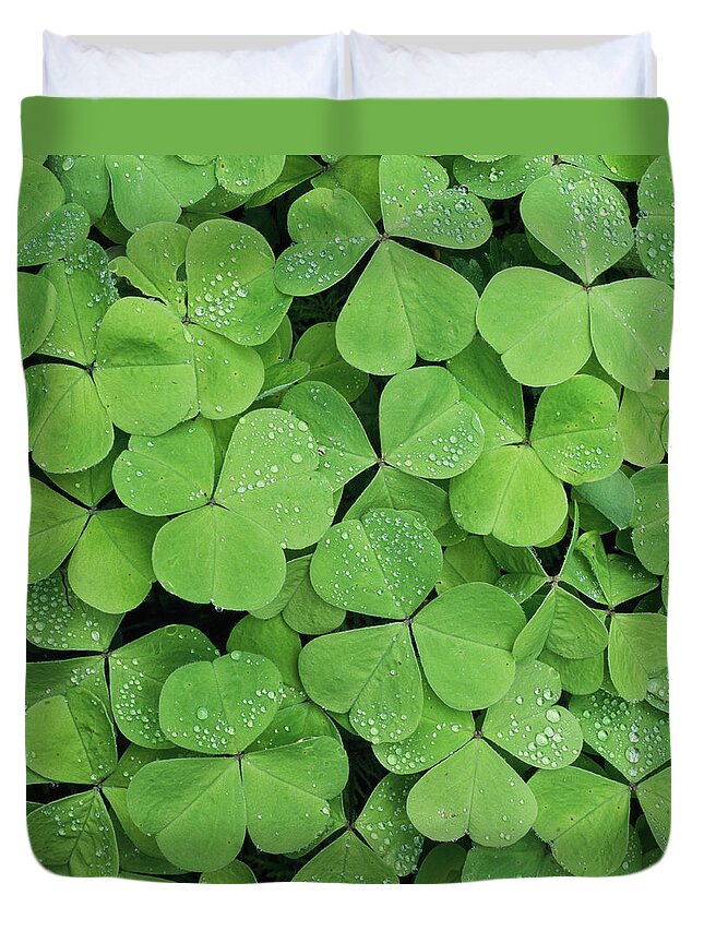 Natural Pattern Duvet Cover featuring the photograph Clover Close Up With Dew by Micha Pawlitzki