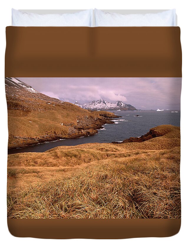 Tussock Duvet Cover featuring the photograph Coastline, Icebergs, South Georgia by Harald Sund