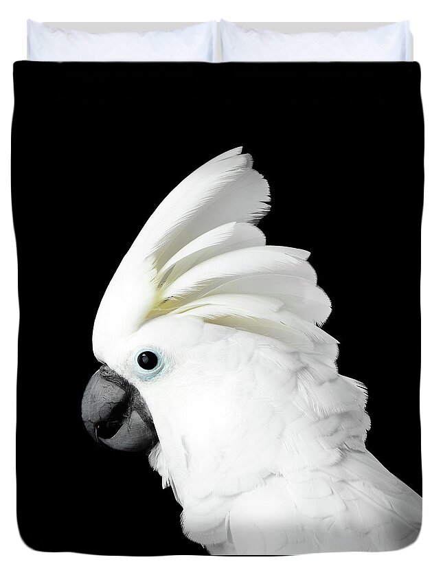 Australian Parrot Duvet Covers