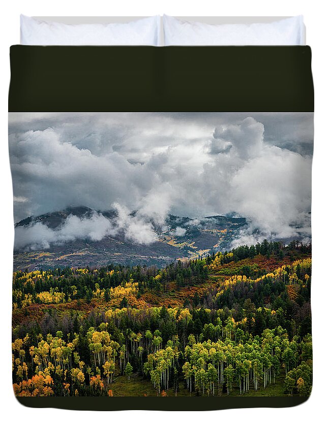 Aspens Duvet Cover featuring the photograph Colorado - 0239 by Jerry Owens