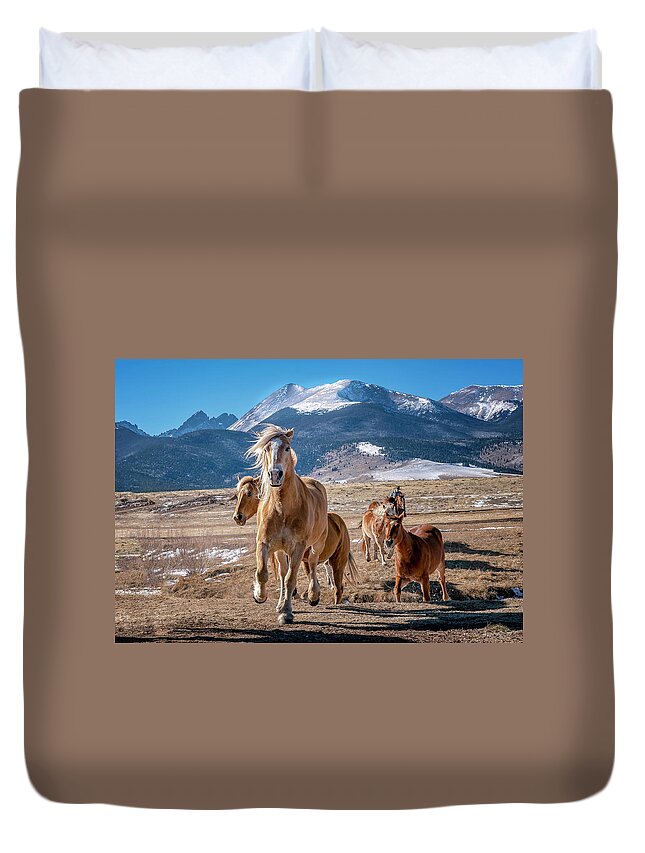 Horse Duvet Cover featuring the photograph Colorado Horses 3 by David Soldano