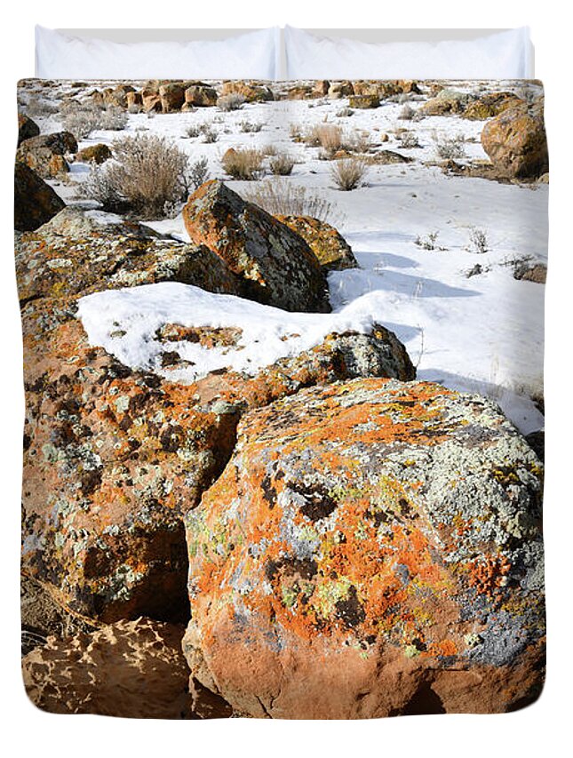 Book Cliffs Duvet Cover featuring the photograph Colorful Lichen Covered Boulders in Book Cliffs by Ray Mathis