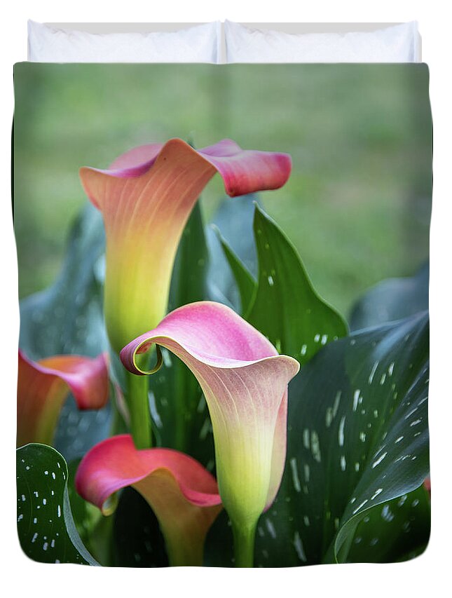 Spring Flowers Duvet Cover featuring the photograph Colorful Spring Flowers by James Woody