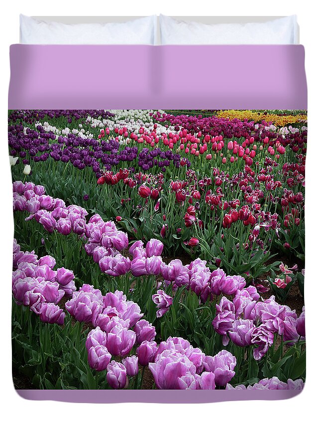 Flower Duvet Cover featuring the photograph Colorful Tulip Festival by Masami IIDA