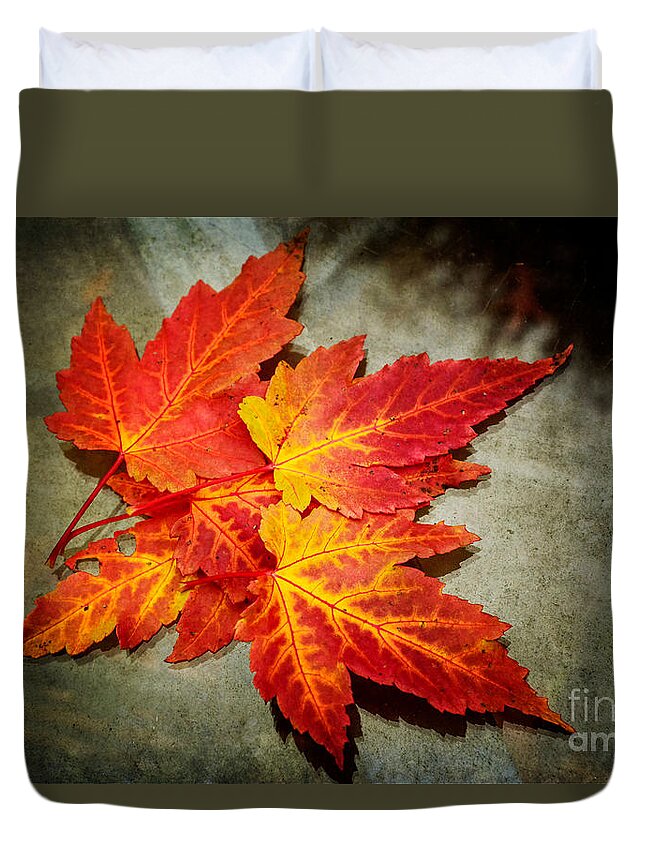 Leaves Duvet Cover featuring the photograph Colors of Fall by Debra Fedchin