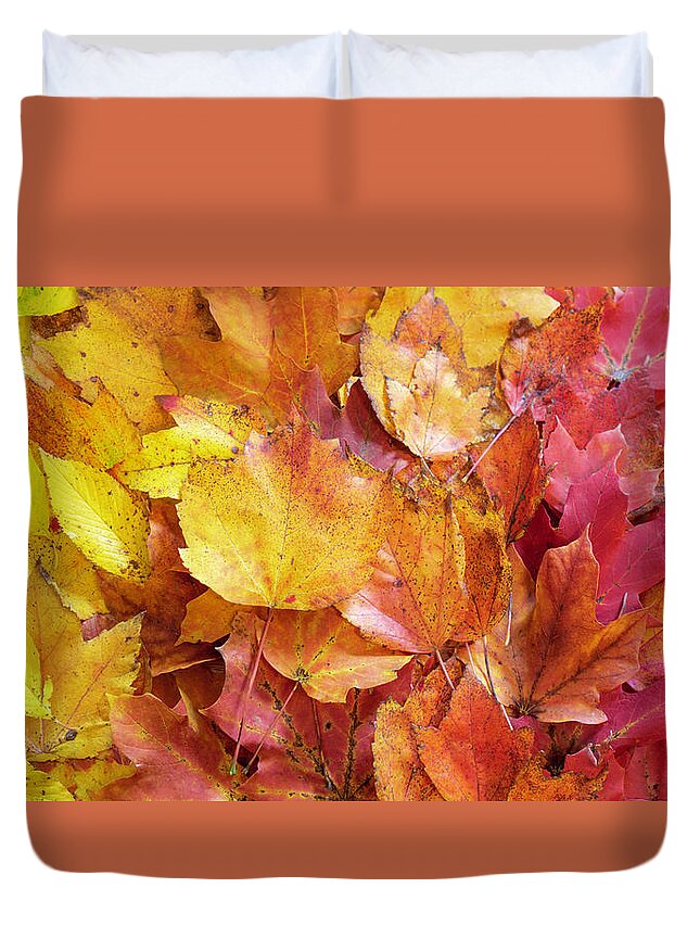 Fall Duvet Cover featuring the photograph Colors of Fall - Yellow to Red by Jason Fink