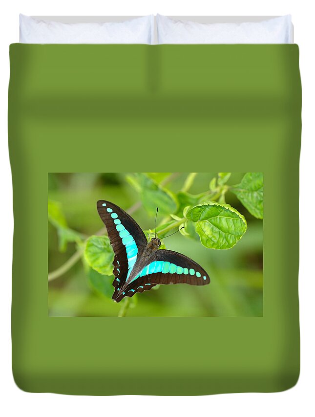 Tropical Rainforest Duvet Cover featuring the photograph Common Bluebottle Graphium Sarpedon Of by Tcp