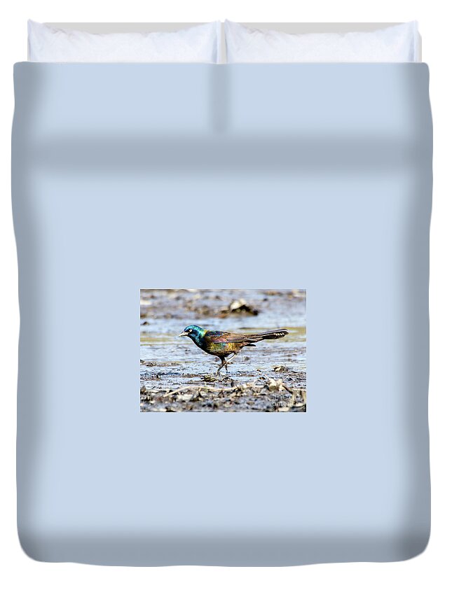 Drained Rosemary Lake Duvet Cover featuring the photograph Common Grackle on Drained Rosemary Lake by Ilene Hoffman