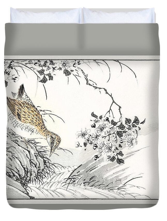 Nature Duvet Cover featuring the painting Common Sandpiper and Wild Rose illustration from Pictorial Monograph of Birds 1885 by Numata Kashu by Celestial Images