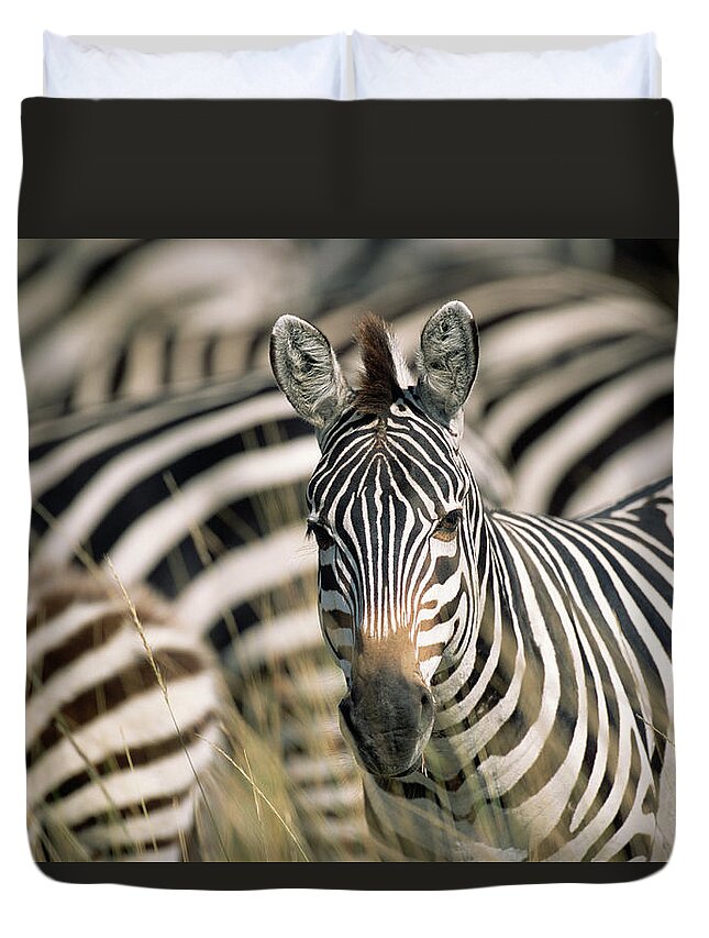 Common Zebra Duvet Covers
