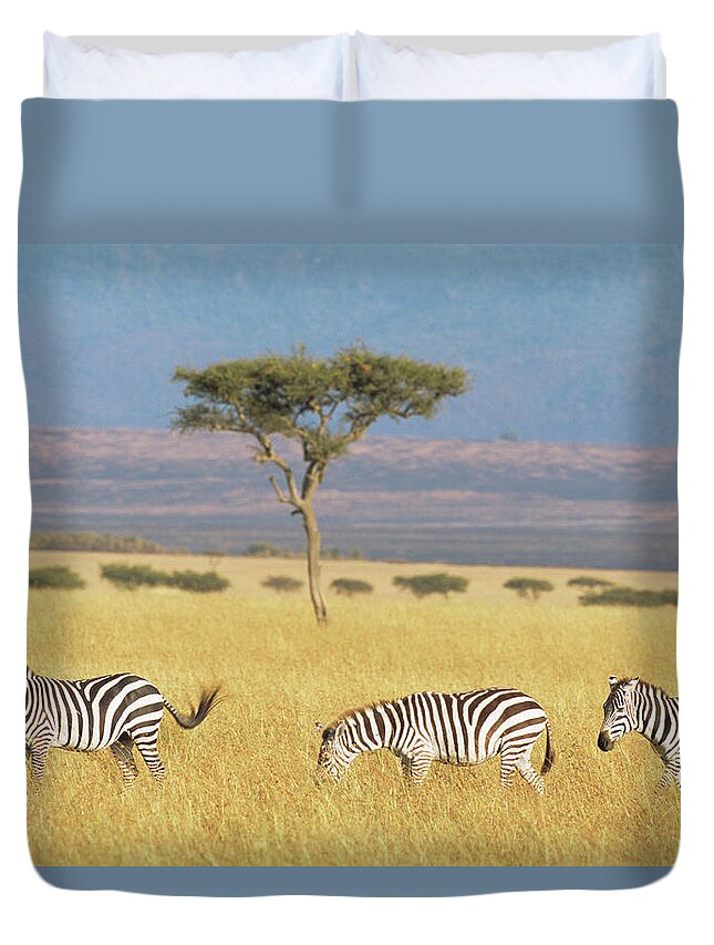 Plains Zebra Duvet Cover featuring the photograph Common Zebras And Desert Date by James Warwick
