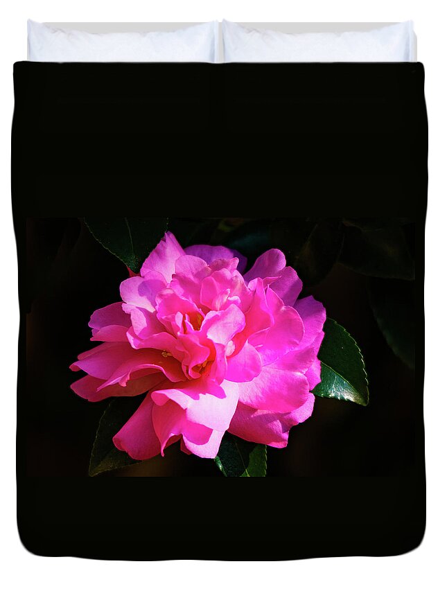 Confederate Rose Duvet Cover featuring the photograph Confederate Rose on Black by Mary Ann Artz