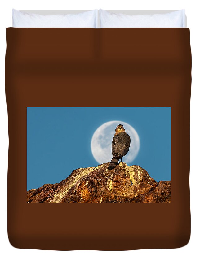Accipiter Duvet Cover featuring the photograph Coopers Hawk with Moon by Rick Mosher