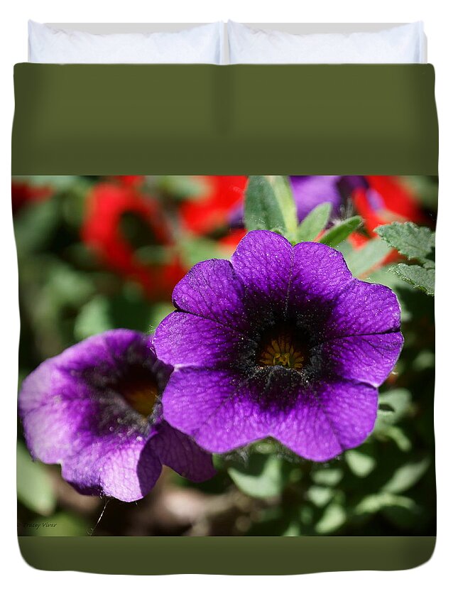 Petunias Duvet Cover featuring the photograph Cosmic Purple Petunias by Tracey Vivar