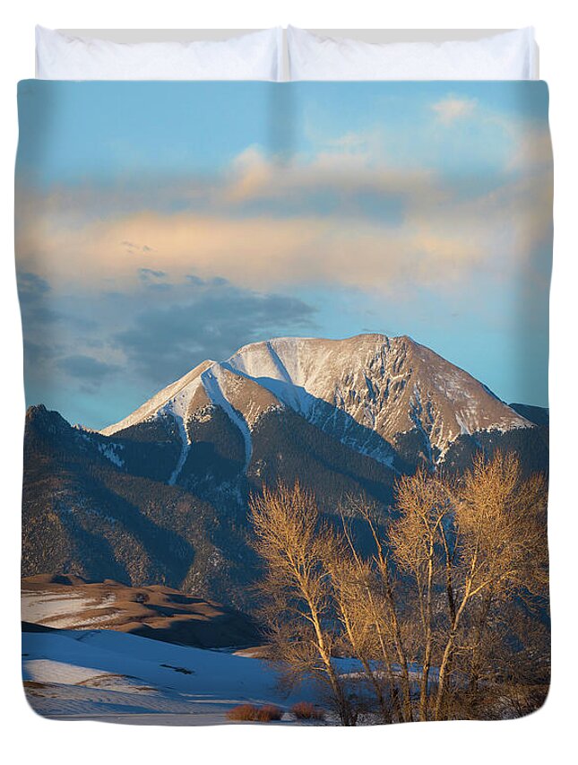 00565360 Duvet Cover featuring the photograph Cottonwoods In Winter, Mount Herard, Great Sand Dunes National Park, Colorado by Tim Fitzharris