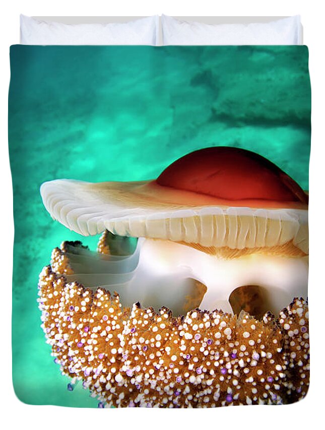 Underwater Duvet Cover featuring the photograph Cotylorhiza Tuberculata by Underwater Photography By Ivan Bakardjiev