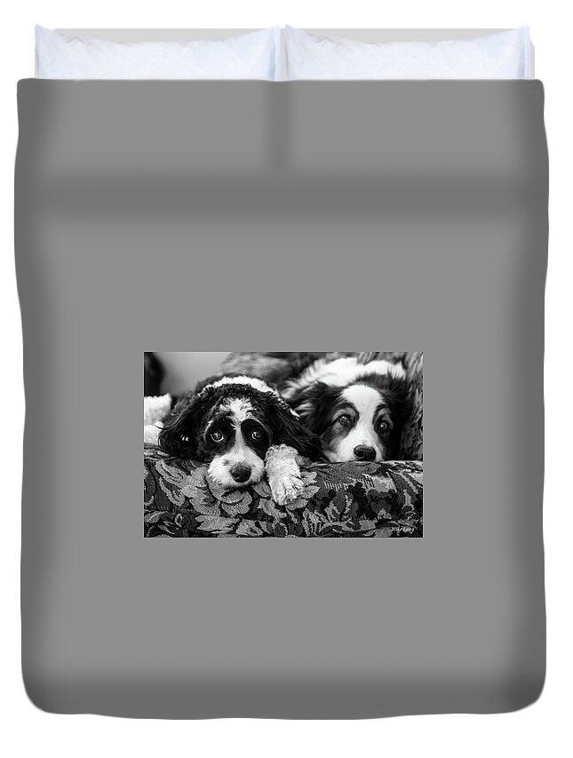 Dogs Duvet Cover featuring the photograph Couch Potatoes by Mike Long