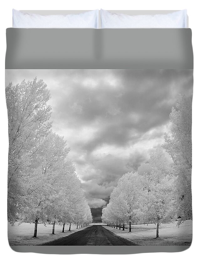 Snow Duvet Cover featuring the photograph Country Road With Trees Covered In Frost by Richard Wear / Design Pics