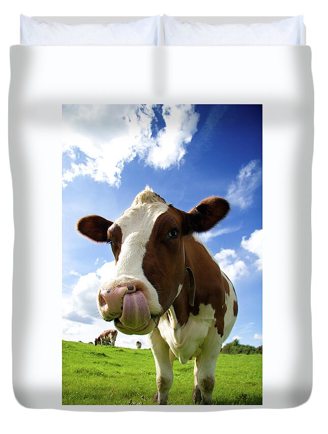 Three Quarter Length Duvet Cover featuring the photograph Cow Sticking Its Tongue Out by Rick Harrison