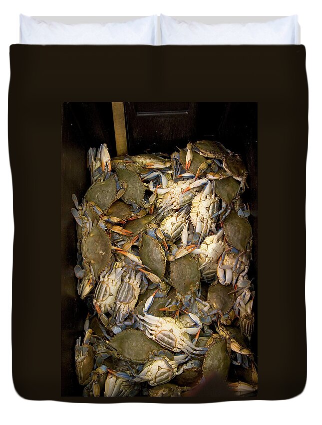 Animal Themes Duvet Cover featuring the photograph Crabs In A Box by Thepurpledoor