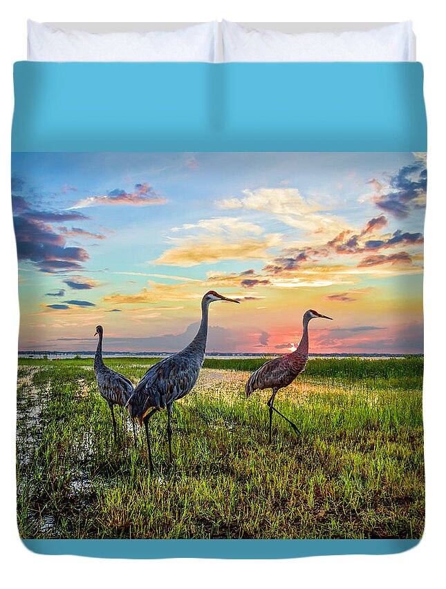 Clouds Duvet Cover featuring the photograph Cranes at Sunset by Debra and Dave Vanderlaan