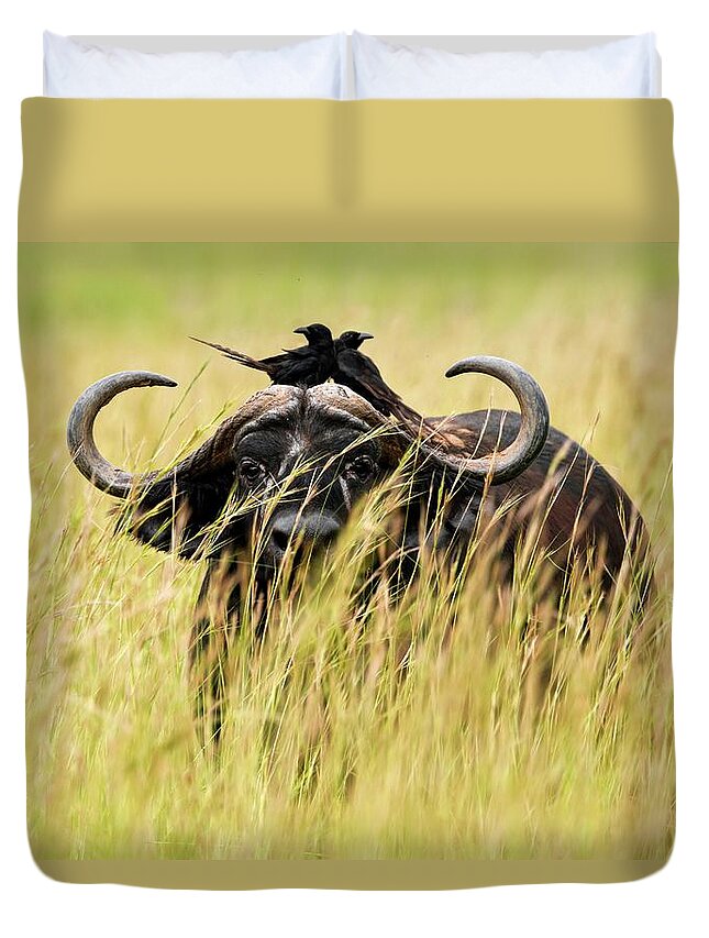 Estock Duvet Cover featuring the digital art Crows On Buffalo by Marco Gaiotti