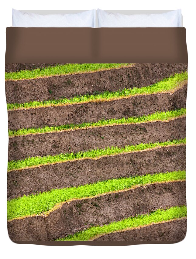Rice Paddy Duvet Cover featuring the photograph Cultivated Terraced Fields, Paro by Mint Images/ Art Wolfe