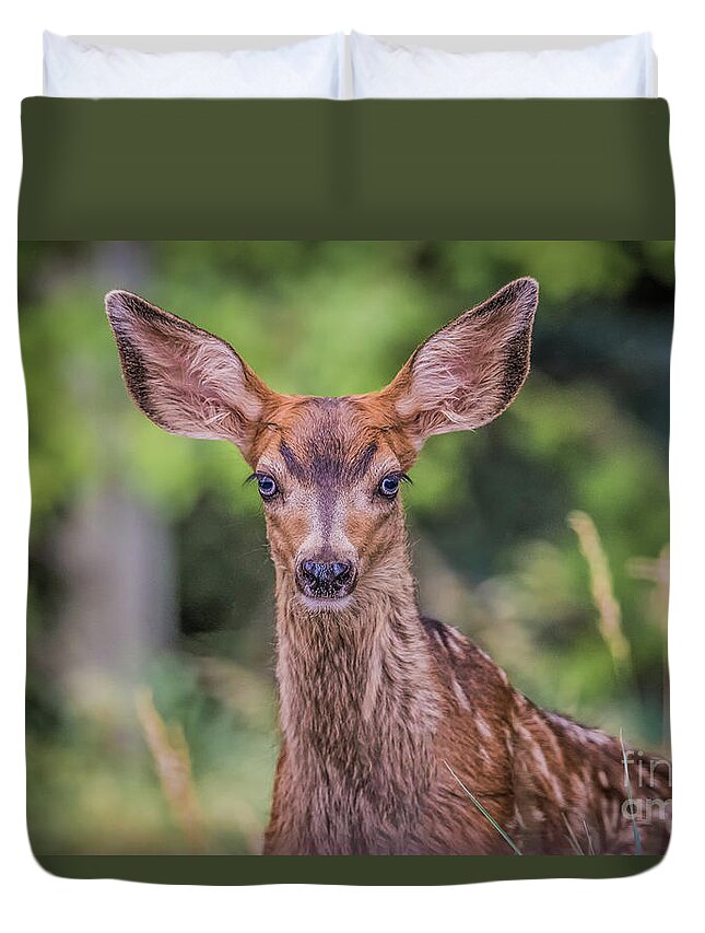 Fawn Duvet Cover featuring the photograph Curious Fawn by Melissa Lipton