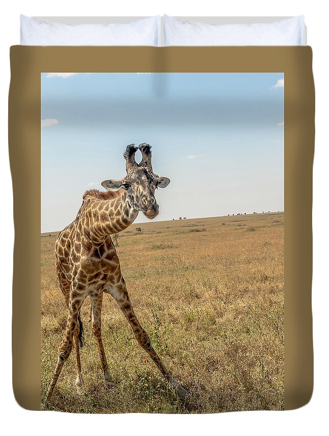 Grass Duvet Cover featuring the photograph Curious Giraffe by Jnhphoto