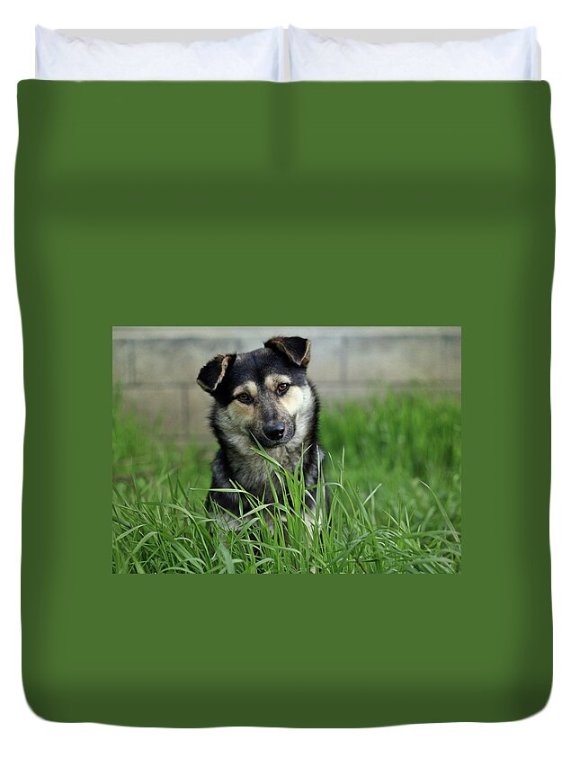 Pets Duvet Cover featuring the photograph Cute Puppy Sitting In Grass by By Julie Mcinnes