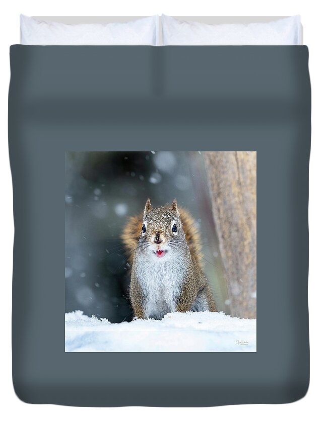 Squirrel Duvet Cover featuring the photograph Cute Squirrel by Judi Dressler