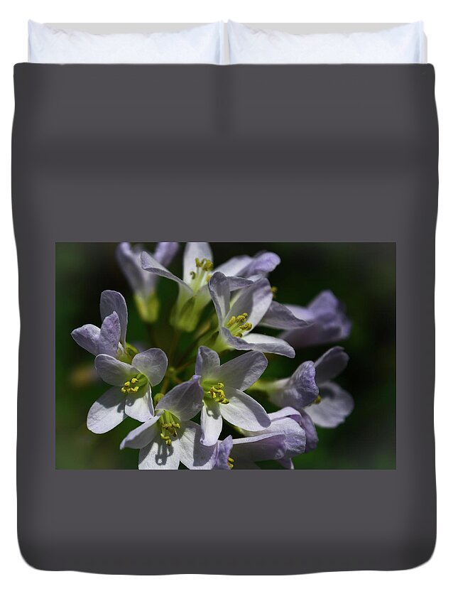 Wildflowers Duvet Cover featuring the photograph Cutleaf Toothwort Bouquet by Tana Reiff