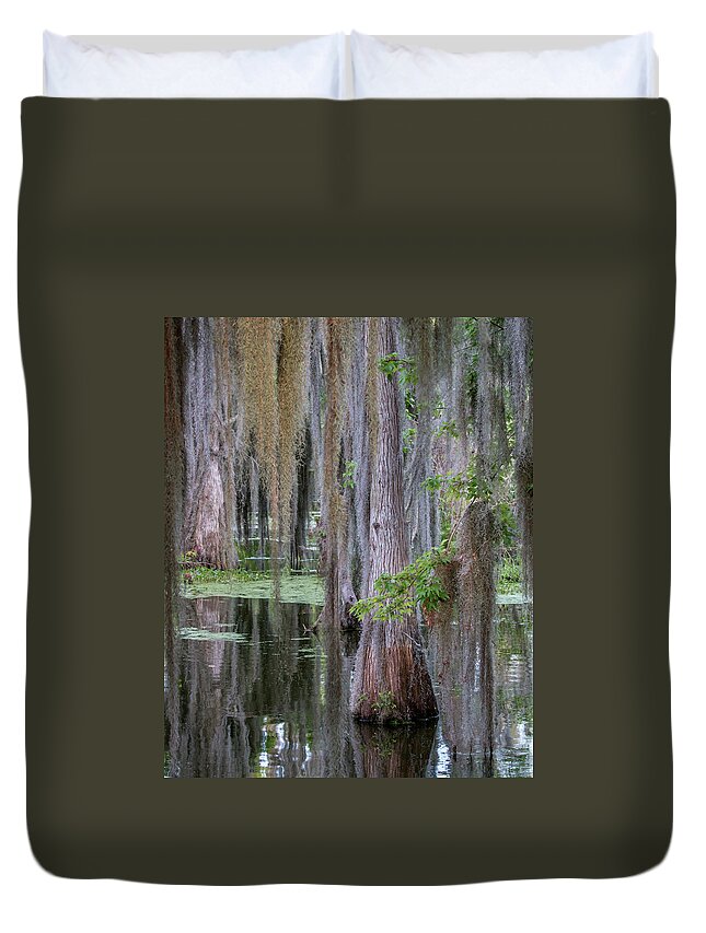 Cypress Duvet Cover featuring the photograph Cypress Bog by Dorothy Cunningham