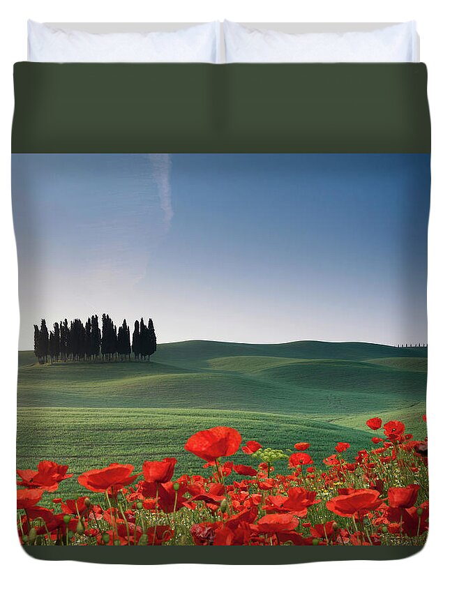 Tranquility Duvet Cover featuring the photograph Cypresses And Red Poppies by Buena Vista Images