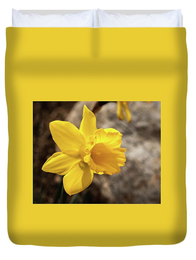 Daffodil Duvet Cover featuring the photograph Daffodil by Dorothy Cunningham