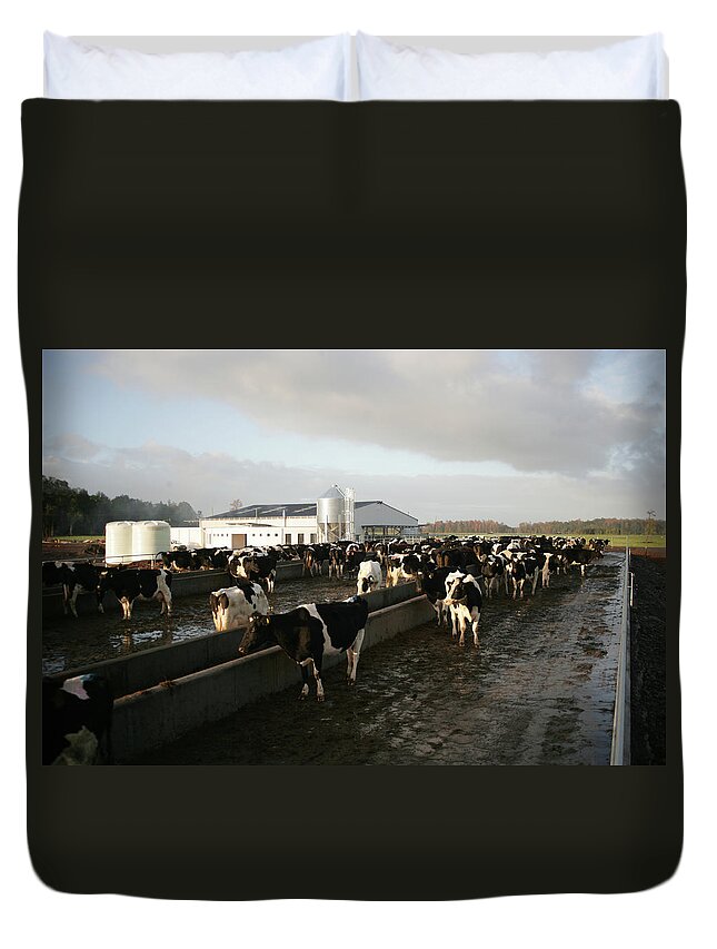 Milk Duvet Cover featuring the photograph Dairy Farm by Emesilva