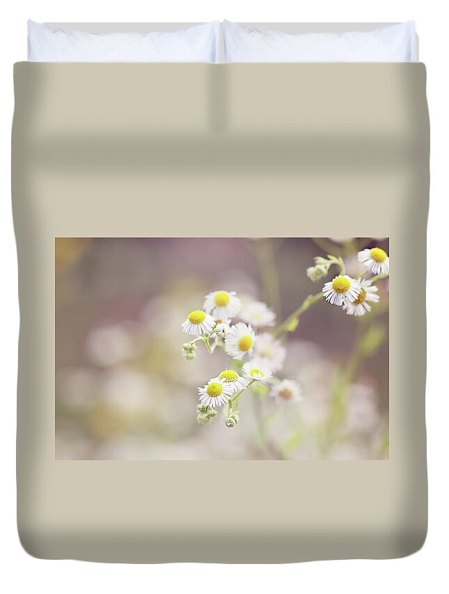 Netherlands Duvet Cover featuring the photograph Daisies Bellis Perennis Flowers, Close by Helaine Weide