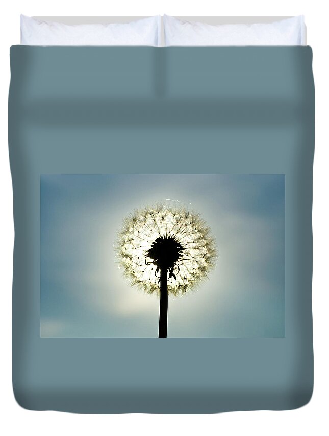 Outdoors Duvet Cover featuring the photograph Dandelion In Sun by Photographer Mikael Nyberg