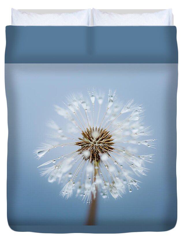 Abstract Duvet Cover featuring the photograph Make A Wish - on Blue by Anita Nicholson