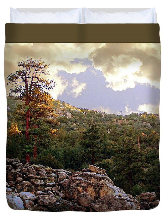 Dawn Duvet Cover featuring the photograph Dawn in Van Dusen Canyon by Timothy Bulone