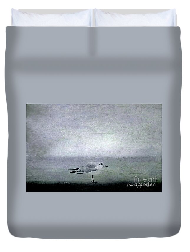 One Duvet Cover featuring the photograph Dawn on the Coast by Chris Armytage