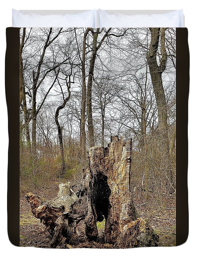 Trees Duvet Cover featuring the photograph DEAD WOOD in LIVING COLOR by Rob Hans